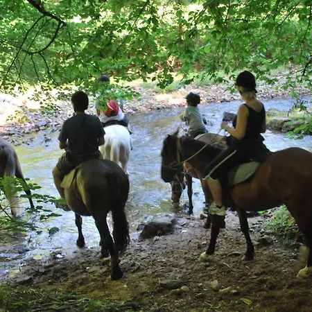 Vabre Aventures Et Nature