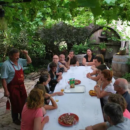 Vabre Aventures Et Nature * Grand-Vabre