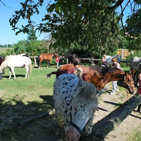 Village de vacances Vabre Aventures Et Nature *